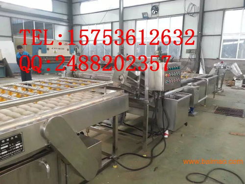 专注普通机械制造 解析胡萝卜清洗机与食品清洗机的生产与价格